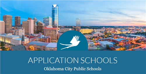 Application Website Link